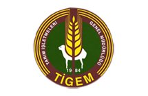 TGEM